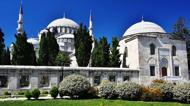 Green grass and plants against a huge white mosque building with domes