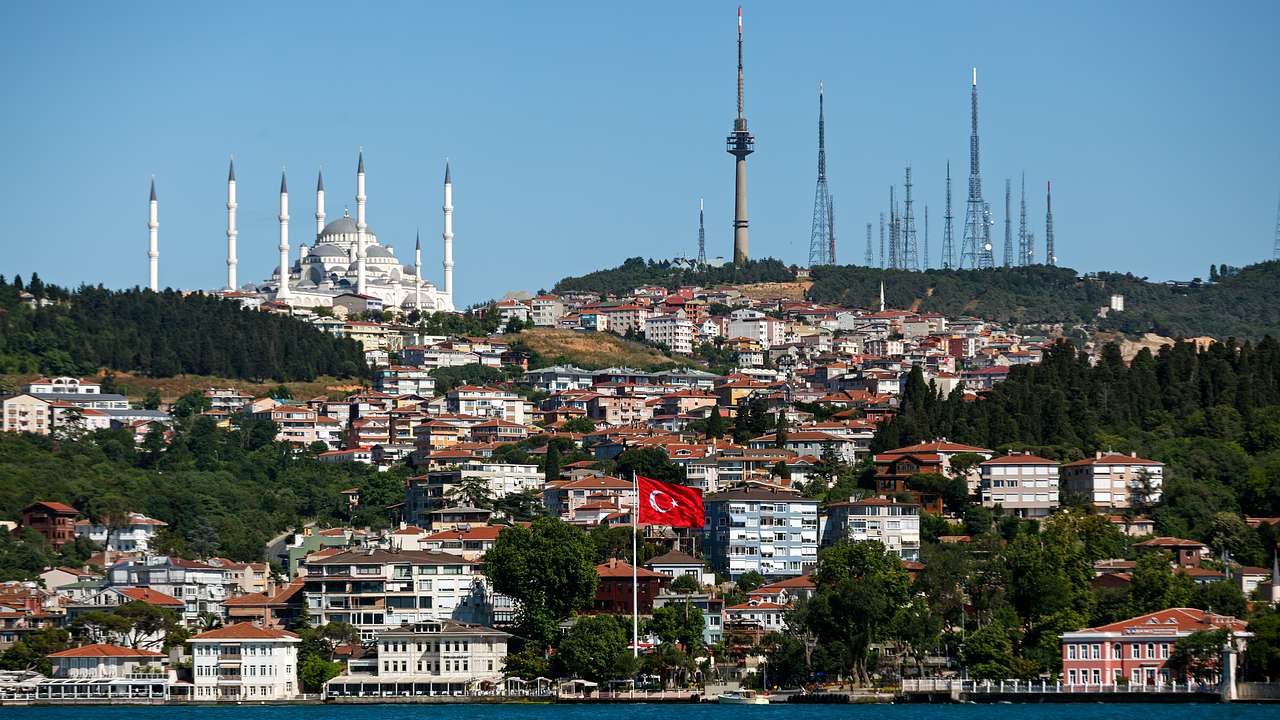 A hill will greenery, a mosque, a Turkish flag, and lots of other buildings on it