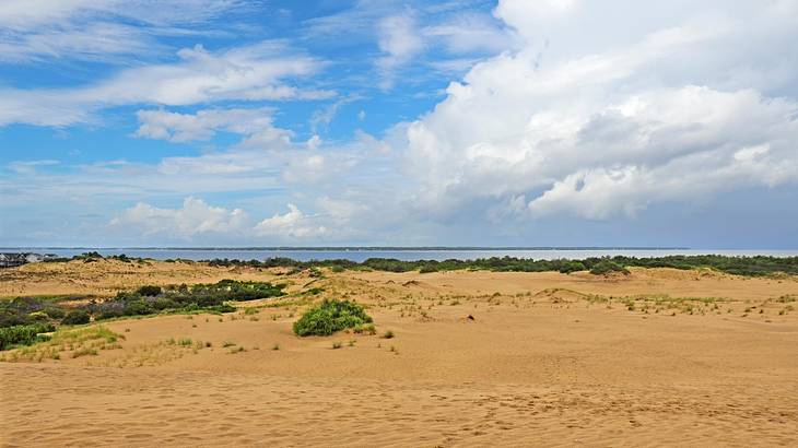Sand with some greenery in it and water in the distance, under a blue sky with clouds
