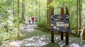A woodland path with two people on it, a sign to the side, and trees surrounding it