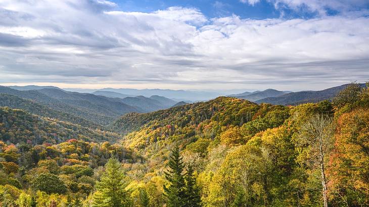 Tree-covered hills under a cloudy blue sky