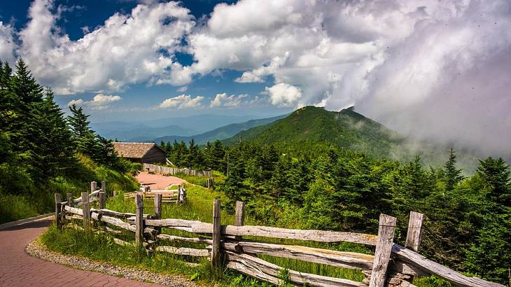 A path going down a hill with a greenery-covered mountain and trees to the side