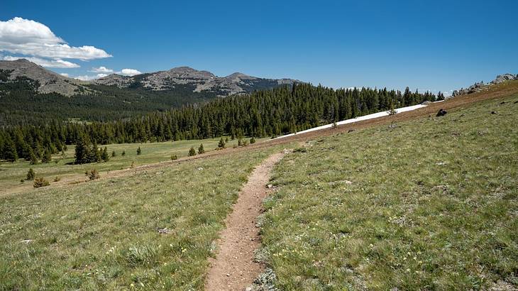 A small dirt path running through grass with greenery-covered mountains surrounding A small dirt path running through grass with greenery-covered mountains surrounding