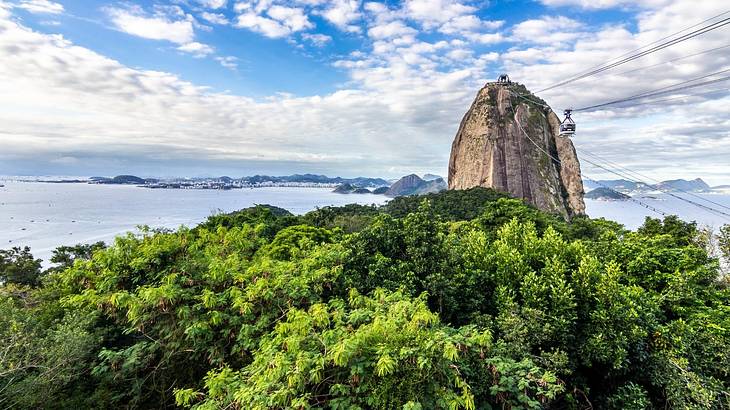 A mountain surrounded by green trees with the ocean to the side