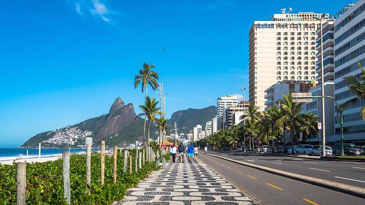 A mosaic sidewalk with shrubs on the left and a road and tall buildings on the right