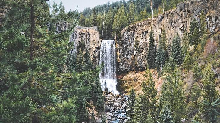 A waterfall streaming downwards a rocky tree-filled cliff, into a shallow water body