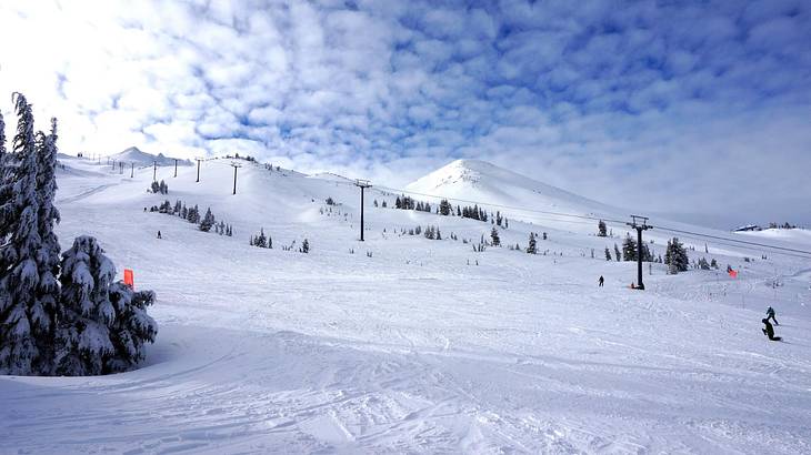 A descending snowy slope with scattered trees under a partly cloudy sky