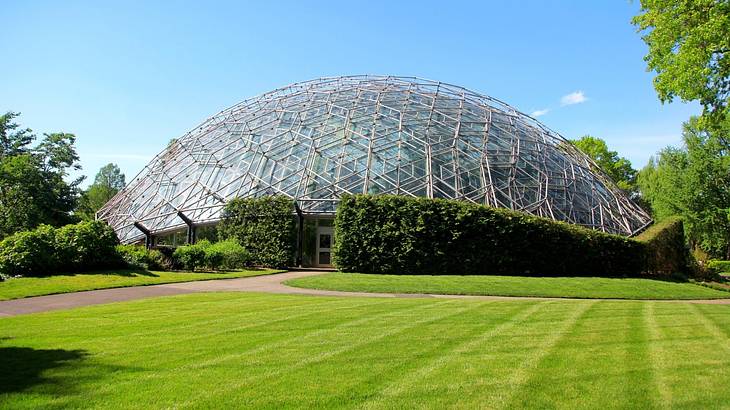 A glass dome structure surrounded by green grass and trees