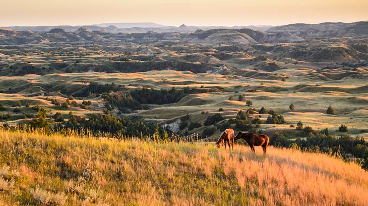 One of the most famous landmarks in North Dakota is the Elkhorn Ranch Unit