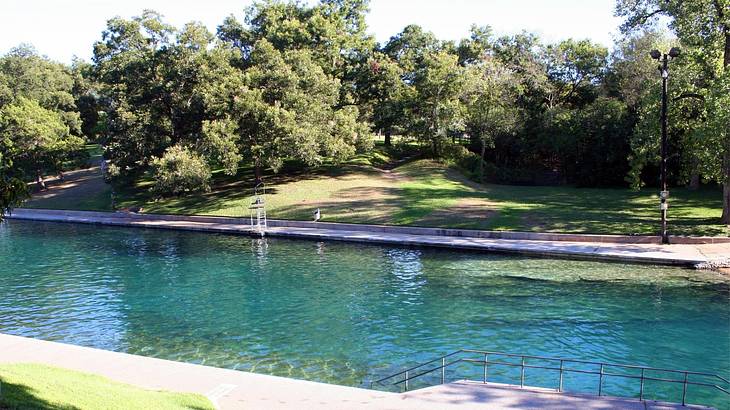 An outdoor swimming pool with steps into the water and grass and trees around it