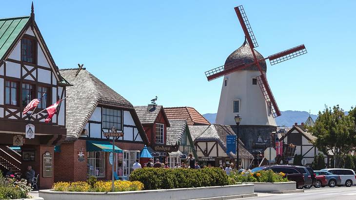 Houses with thatched roofs and a windmill with a street in front of them
