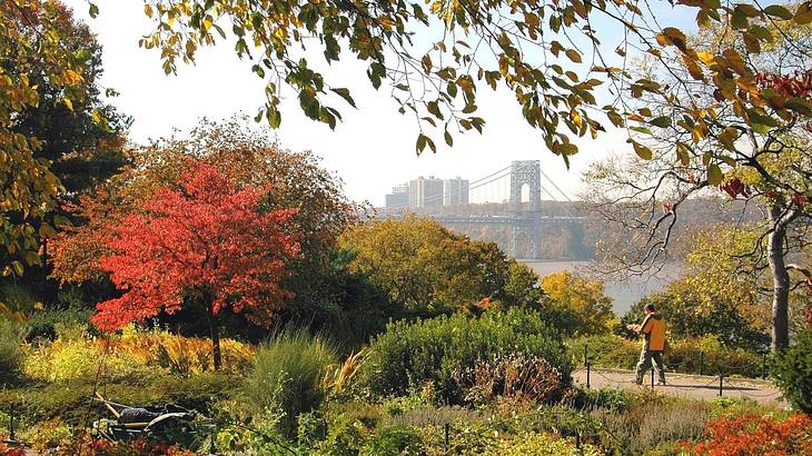 Fall trees and bushes next to people on a walking path and a bridge in the distance