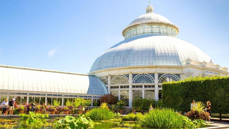 A gazebo-style white building with a pond outside having lily pads and vegetation A gazebo-style white building with a pond outside having lily pads and vegetation