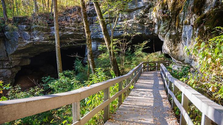 A wooden walkway with greenery on either side and a cave at the end