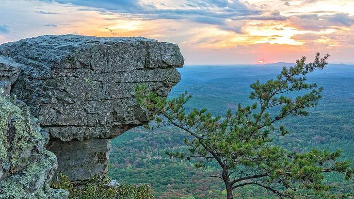 A rock and a tree with a valley below under the sky at sunset