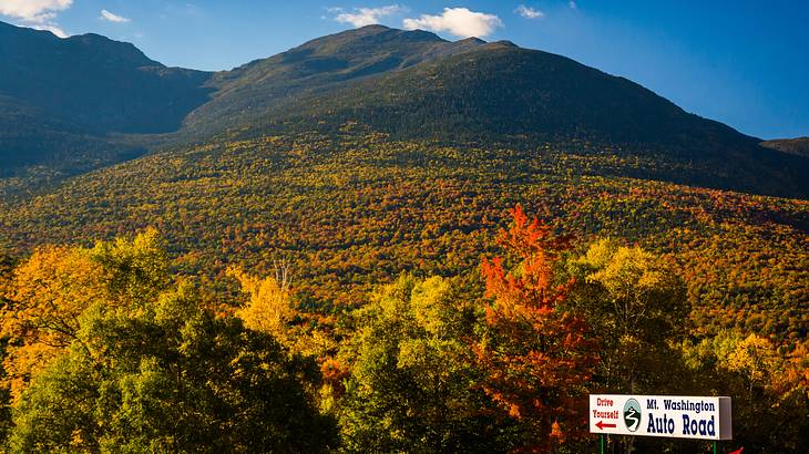 Looking up at a mountain covered in the foliage of autumn colors Looking up at a mountain covered in the foliage of autumn colors
