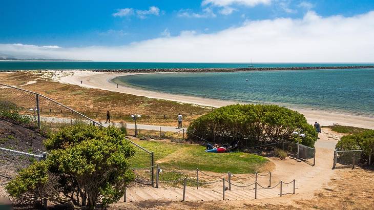The ocean and a crescent-shaped bay with sand and shrubbery to the side The ocean and a crescent-shaped bay with sand and shrubbery to the side