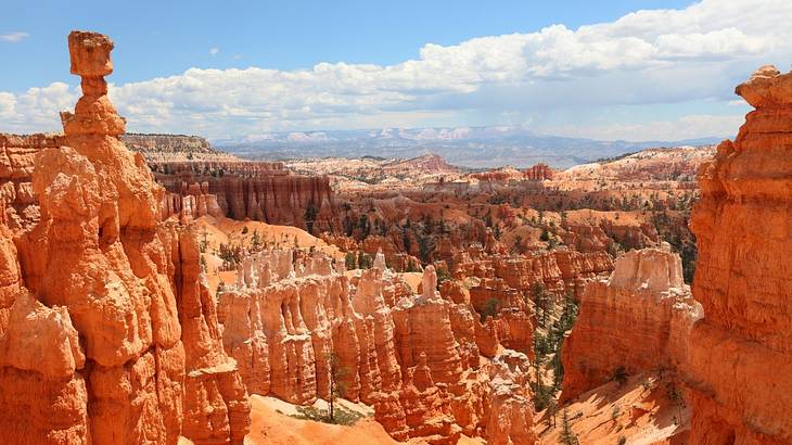 A vast red rock canyon with natural rock towers under a blue sky with some clouds