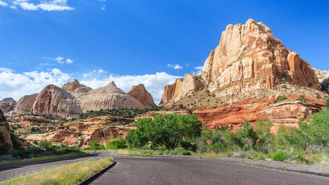 A road with greenery and red rock cliffs next to it under a clear blue sky