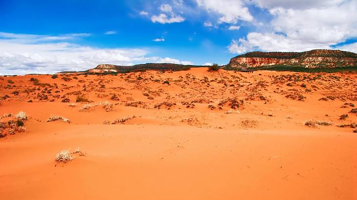 Orange dunes with some greenery on them under a blue sky with clouds