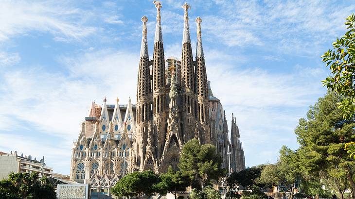 A Gothic cathedral with greenery and a pond in front on a nice day