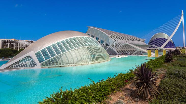 Modern structures by a pool and various plants against a blue sky