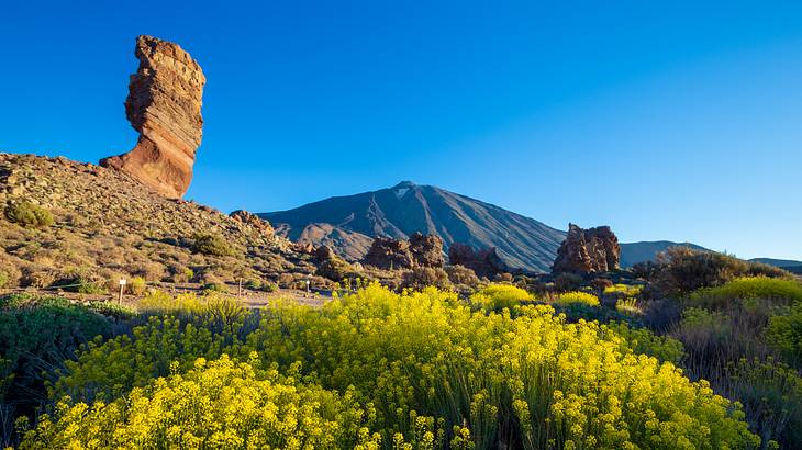 Rock formation surrounded by greenery in the foreground of a mountain on a clear day