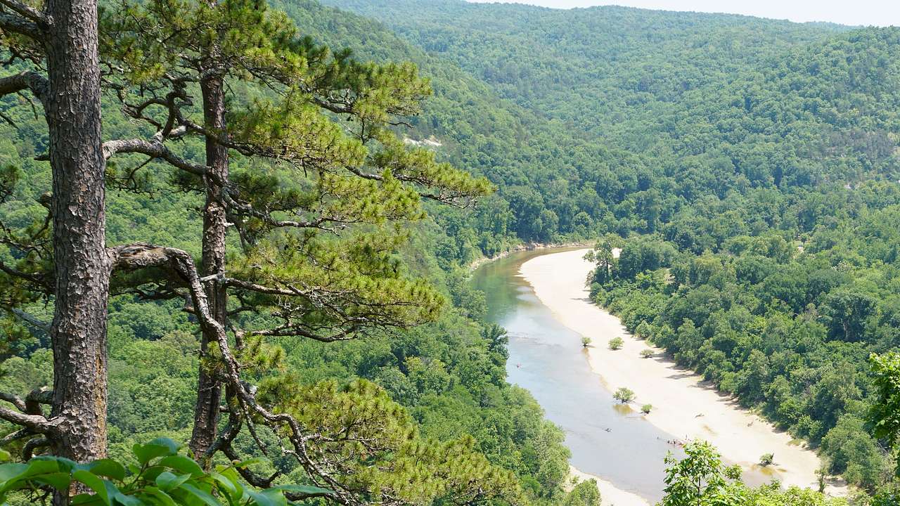 Top view of a river running across a lush forest with mountains in the background