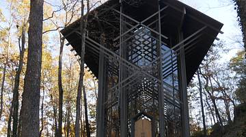 A structure made of wood and glass in the middle of a forest bordered by trees