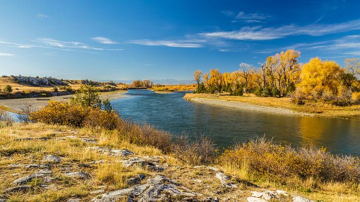 A river running surrounded by foliage in hues of yellow on a sunny day A river running surrounded by foliage in hues of yellow on a sunny day