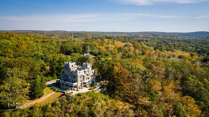 Aerial view of a medieval gothic castle in the middle of a vast wooded land