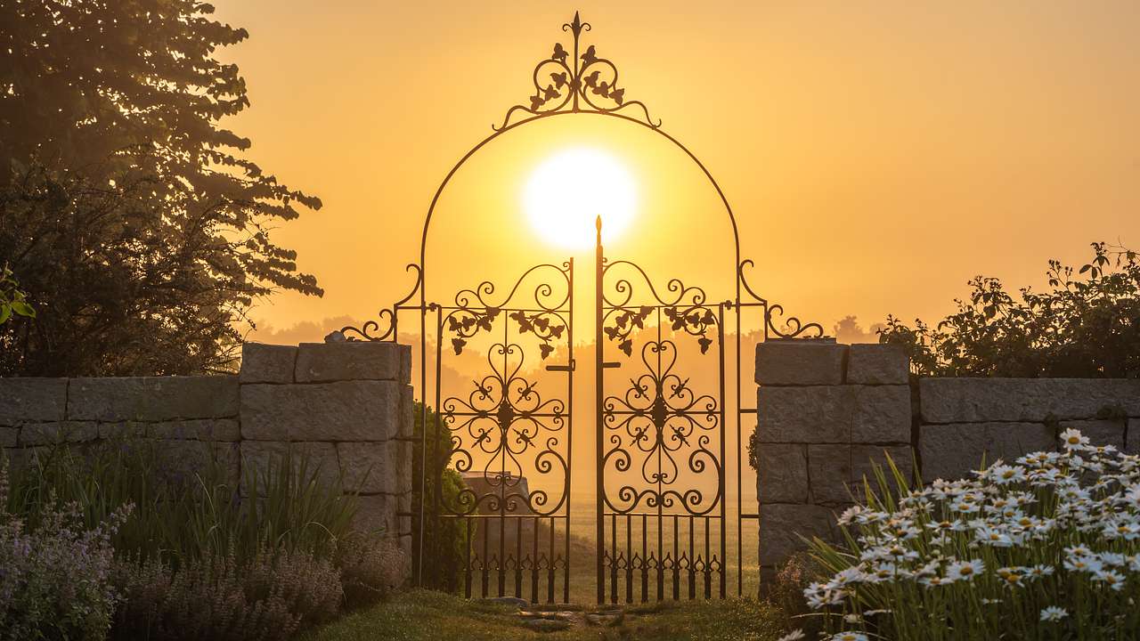 An ornately decorated steel gate surrounded by flowers and plants during sunset