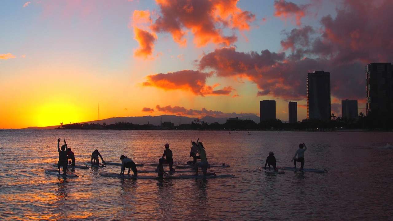 People doing yoga on paddleboards in the ocean at sunset