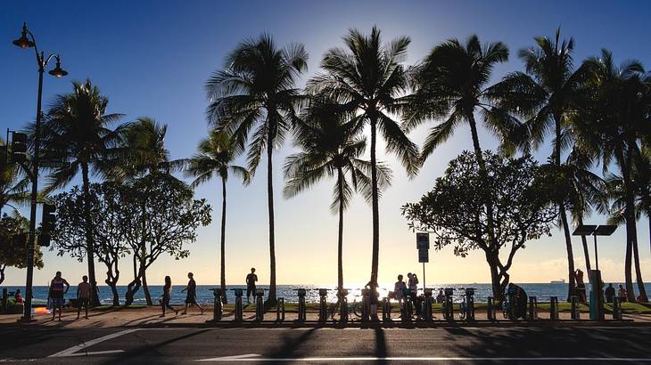 A street and palm trees next to a beach at sunset