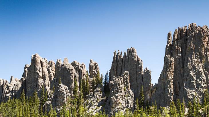 Trees in front of tall rock formations with a clear sky in the background