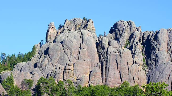 Rocky mountains surrounded by pine trees against a clear blue sky