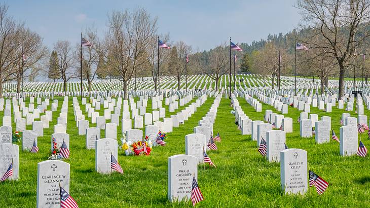 US flags, rows of white tombstones, and leafless trees on a grassy plain