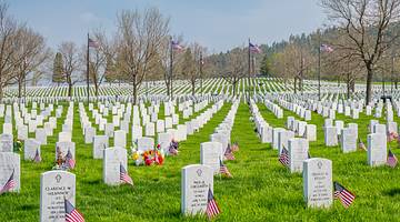 US flags, rows of white tombstones, and leafless trees on a grassy plain