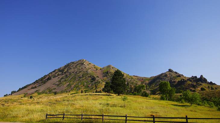 A grassy field with trees at the foot of a mountain against a clear blue sky