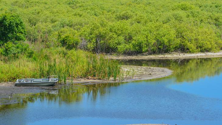 A boat on the edge of a lake by a marsh filled with a lot of plants