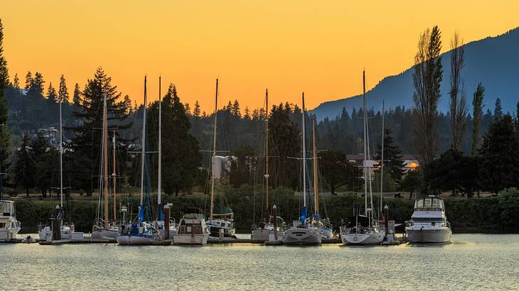 Boats sitting in a harbor with alpine trees and a mountain behind them at sunset Boats sitting in a harbor with alpine trees and a mountain behind them at sunset