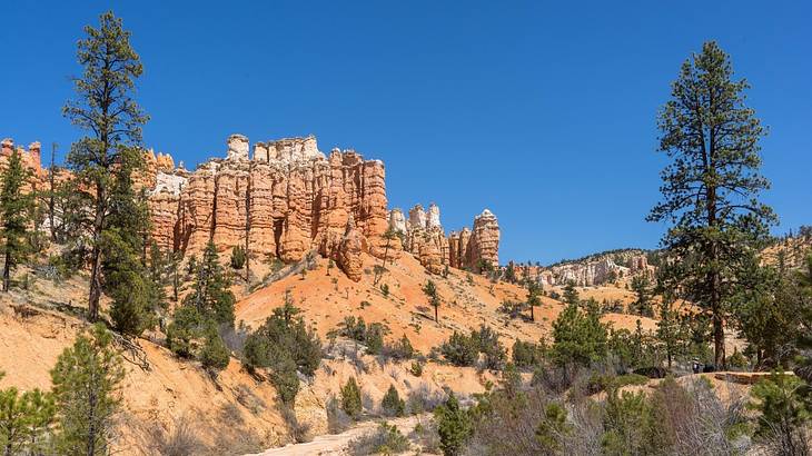 A red rock cliff with trees on the slopes below it under a blue sky