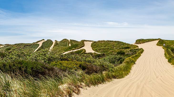 One of the famous landmarks in Oregon is the Oregon Dunes National Recreation Area