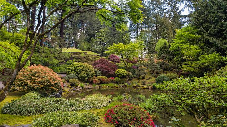 A pond in the center of a Japanese garden with various trees and flowering plants