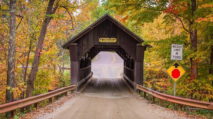 A covered bridge with a road running through it and fall trees around it
