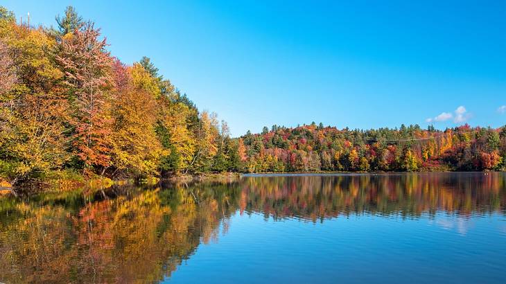 A lake with fall trees around it that are reflected in the water A lake with fall trees around it that are reflected in the water