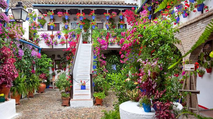 A patio with white stairs that lead to a house surrounded by many colourful flowers