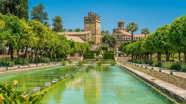 A pond surrounded by trees with an ancient castle structure behind it