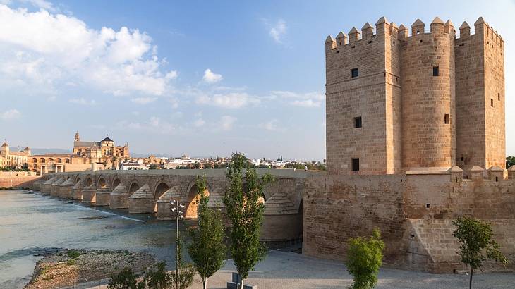 A castle structure next to trees and an arched stone bridge over a river