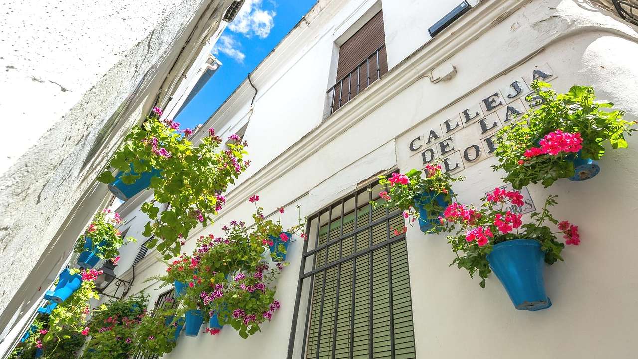 A white building with flowers in blue flower pots and a "Calleja de las Flores" sign